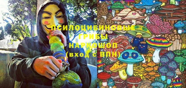 спайс Снежногорск