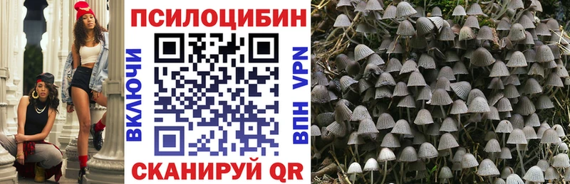 Псилоцибиновые грибы Cubensis  Купить где  Кизляр 